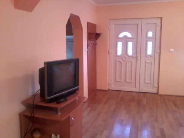 vacation-home-moneasa-arad-big-4